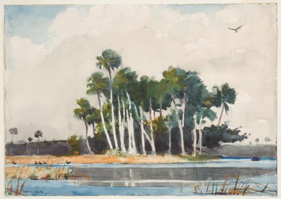 The Turkey Buzzard by Winslow Homer